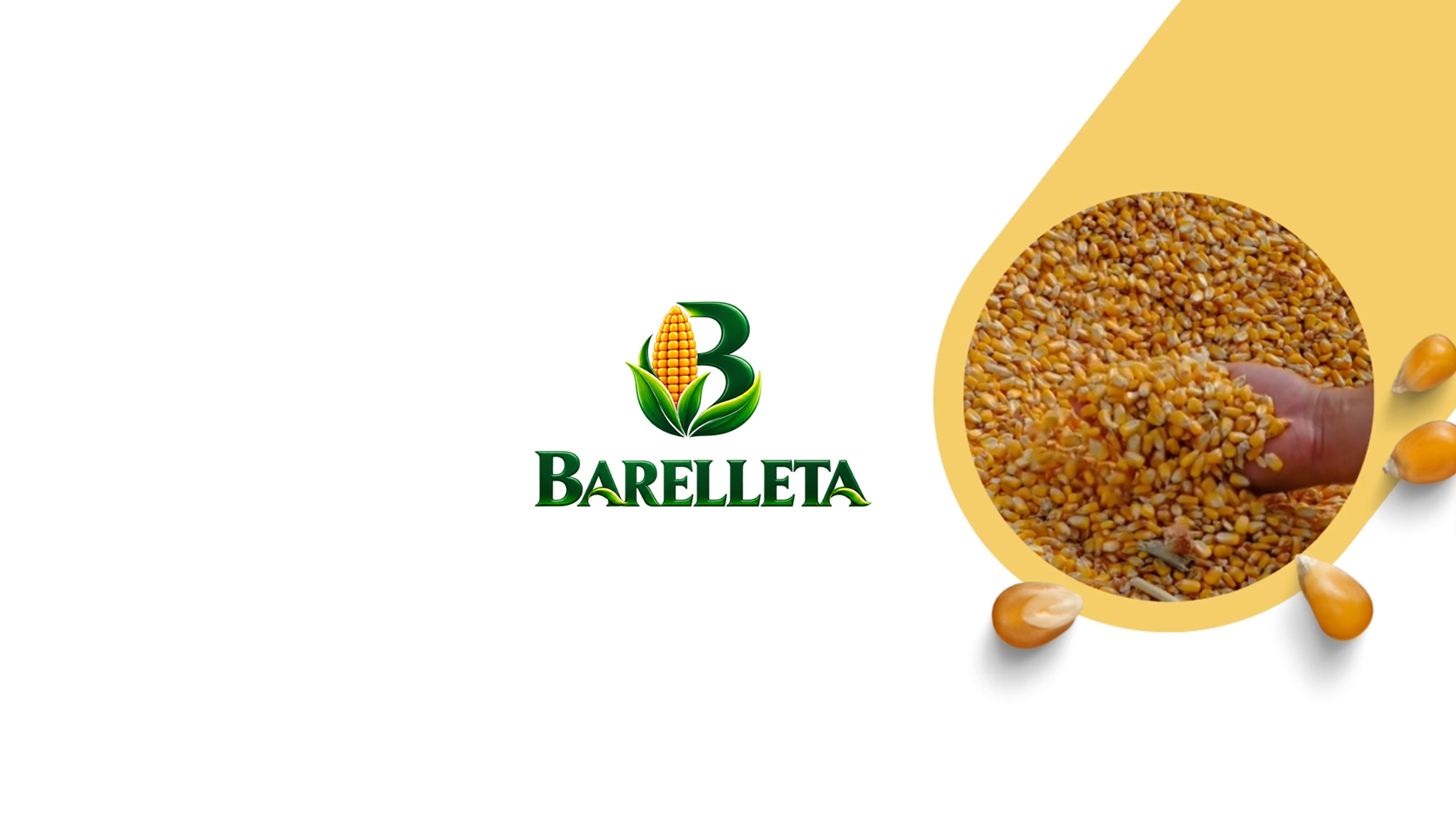 Website UD Barelleta